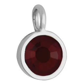 Birthstone Charm - January