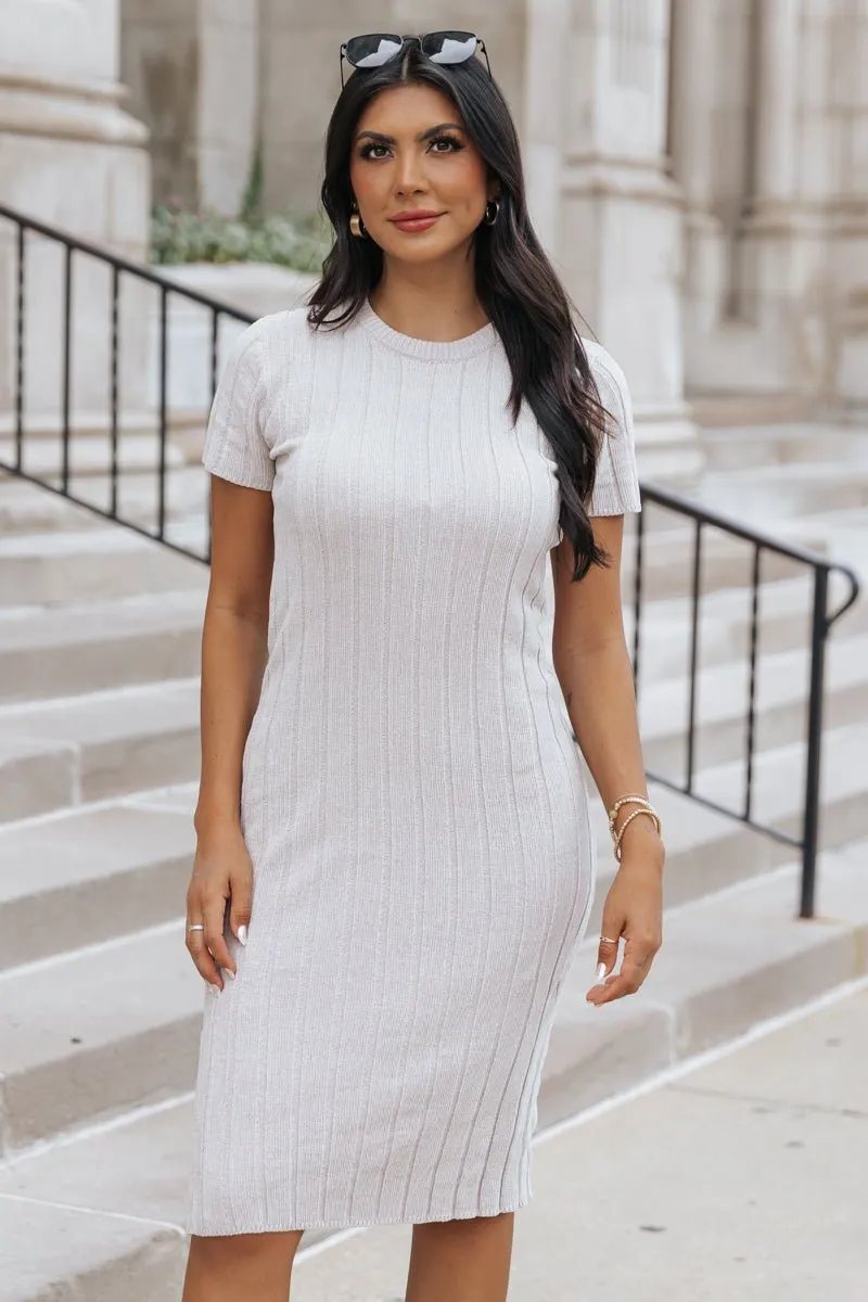 Light Grey Chenille Sweater Dress