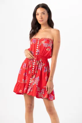 Ryden Mini Dress