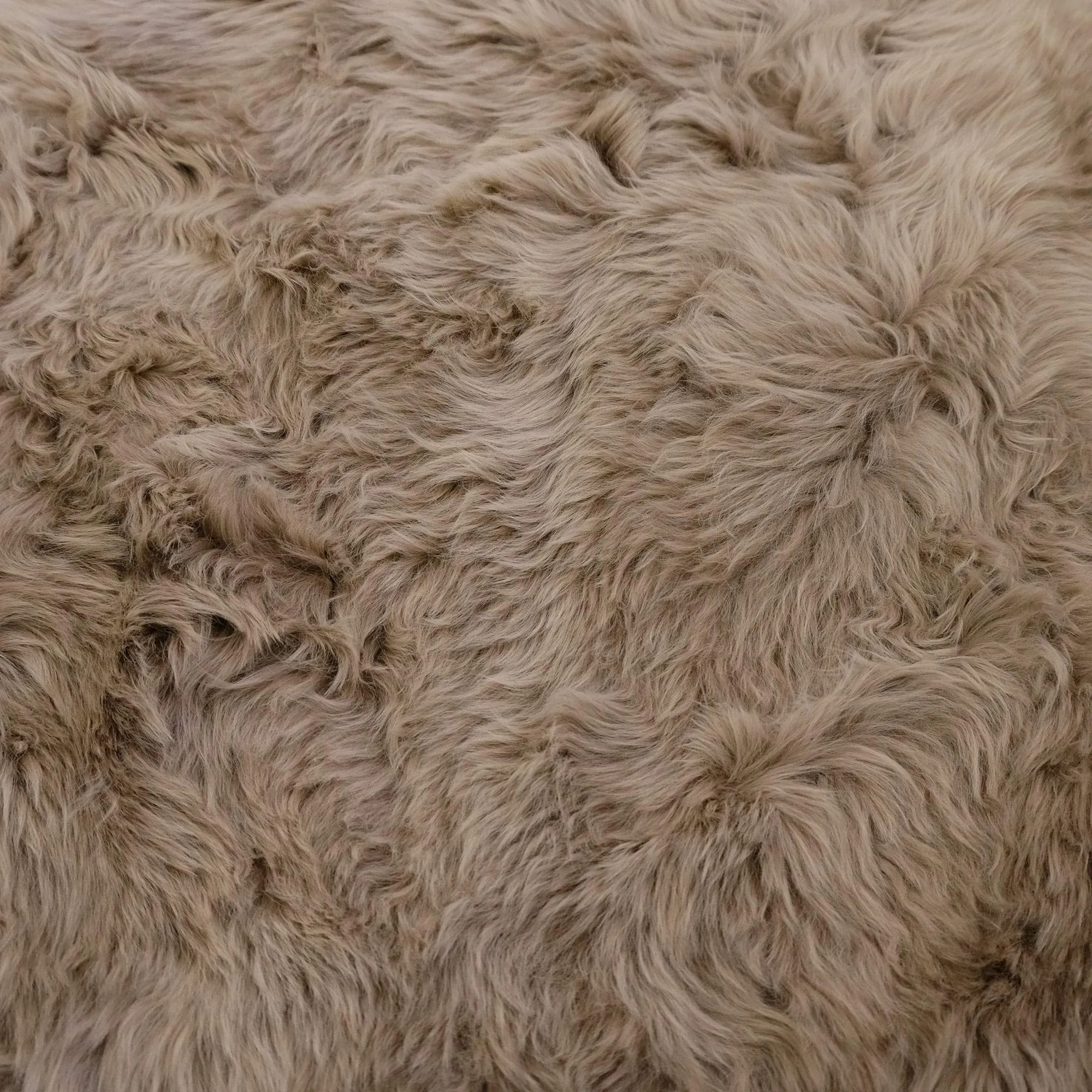 Sheepskin Rug - Latte - XXL- Long Wool  Australian Merino Sheepskin