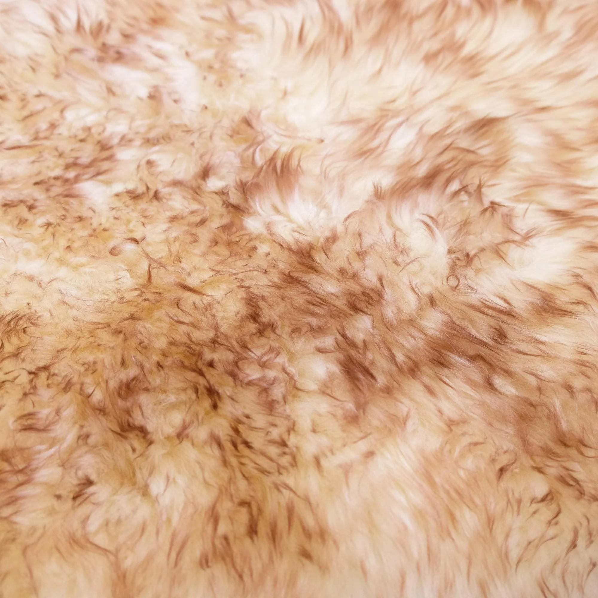 Sheepskin Rug - White/Brown Tip - XXL - Long Wool Australian Merino Sheepskin